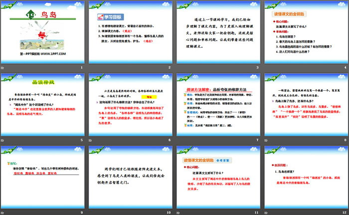 《鸟岛》PPT教学课件