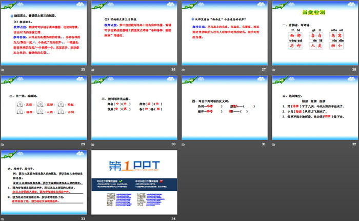 《鸟岛》PPT教学课件