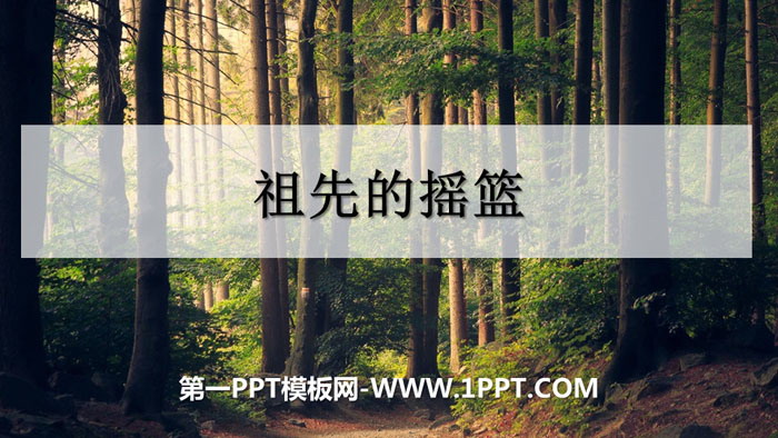 《祖先的摇篮》PPT精品课件下载