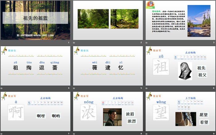 《祖先的摇篮》PPT精品课件下载