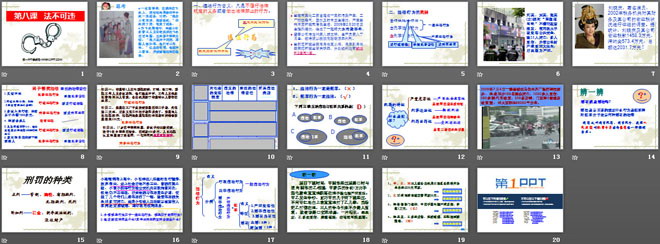 《法不可违》感受法律的尊严PPT课件4