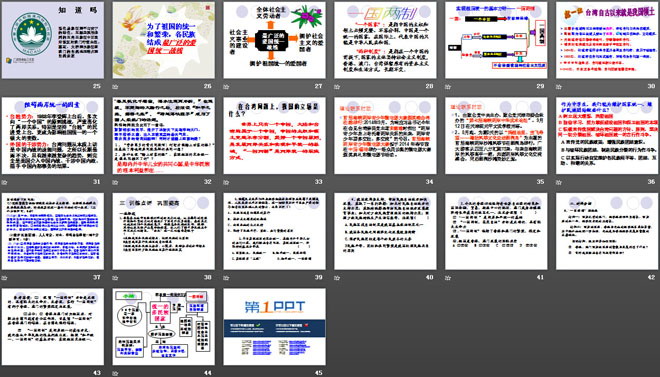 《统一的多民族国家》认清基本国情PPT课件4