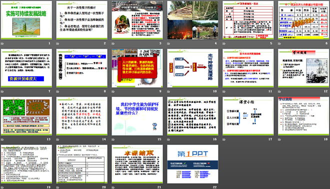 《实施可持续发展战略》了解基本国策与发展战略PPT课件