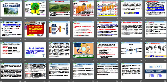 《实施可持续发展战略》了解基本国策与发展战略PPT课件3