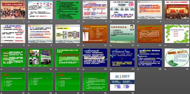 《人民当家做主的法治国家》参与政治生活PPT课件2