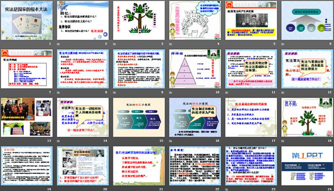 《宪法是国家的根本大法》参与政治生活PPT课件3