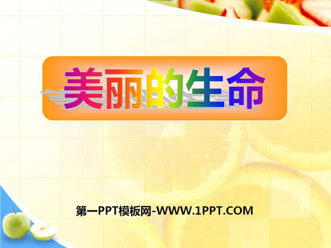 《美丽的生命》珍爱生命PPT课件2