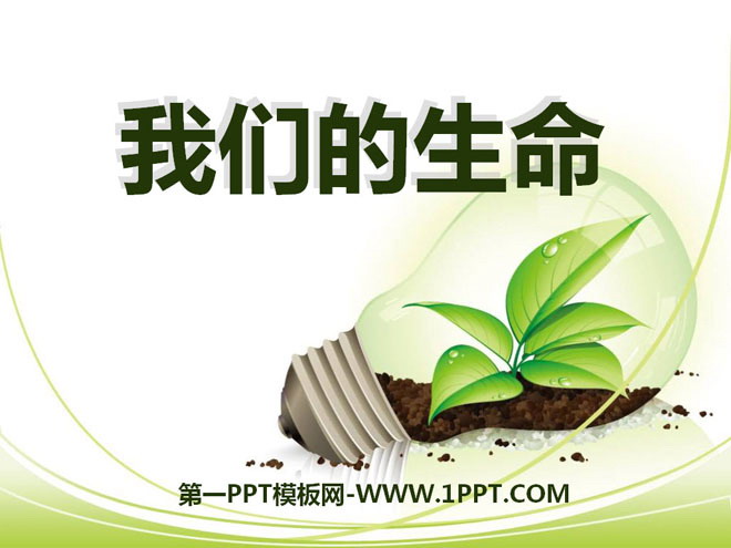 《我们的生命》珍爱生命PPT课件2