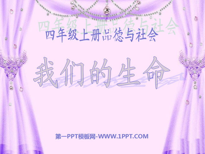 《我们的生命》珍爱生命PPT课件3