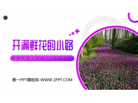 《开满鲜花的小路》PPT课件免费下载