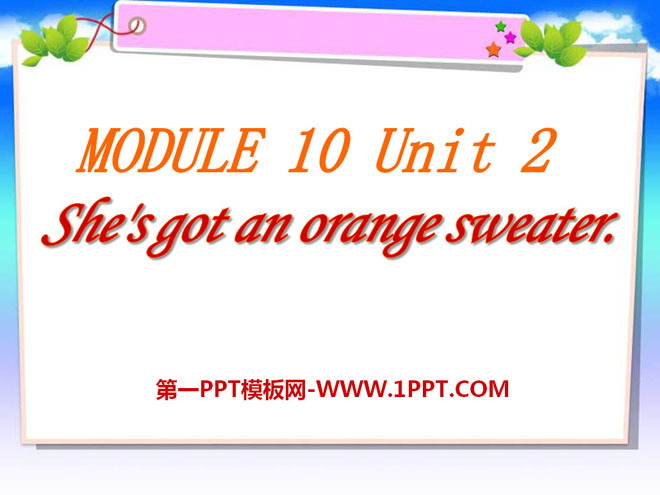 《She\s got an orange sweater》PPT课件2
