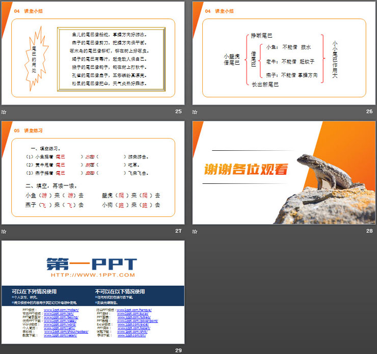 《小壁虎借尾巴》PPT课件免费下载