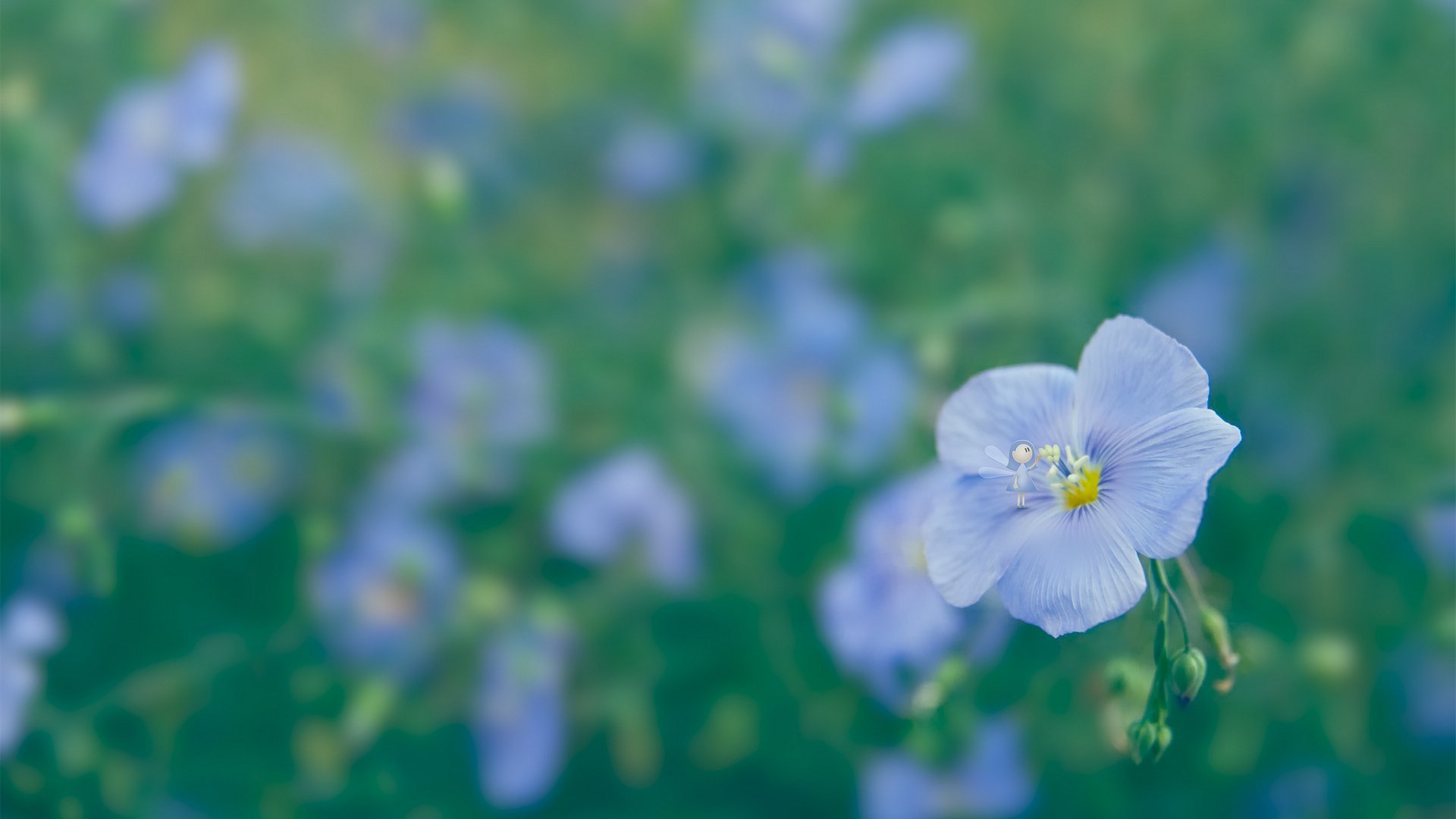 淡淡花朵背景图片