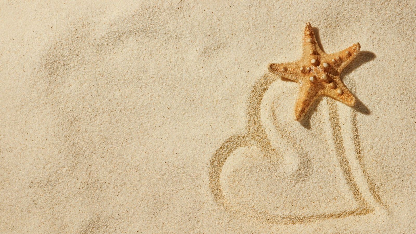 沙子 海星 爱心
